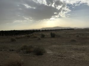 Entre Jericó y Jerusalén en Diciembre