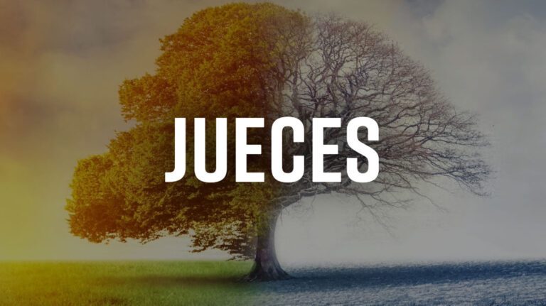 jueces-1