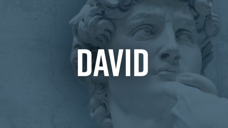 vida de david-1